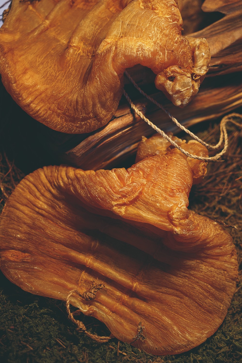 鍗庤壓鍥介檯鎷嶅崠鍏徃瀹樼綉,鍗庤壓鍥介檯鏄ユ媿浣滃搧娆ｈ祻