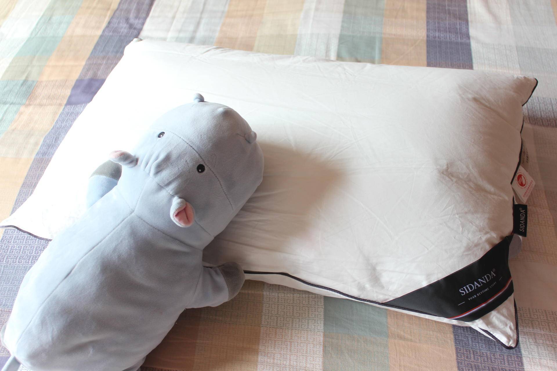 想要一个好梦,想要一个超好用的枕头