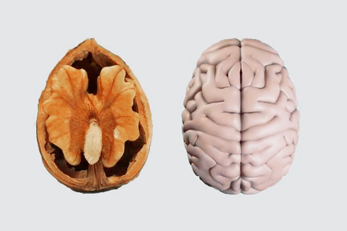 肾虚吃猪腰炖汤的功效,肾虚吃猪腰子补得快吗