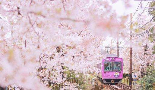 韩国出国留学机构哪家好,日本出国留学机构哪个好