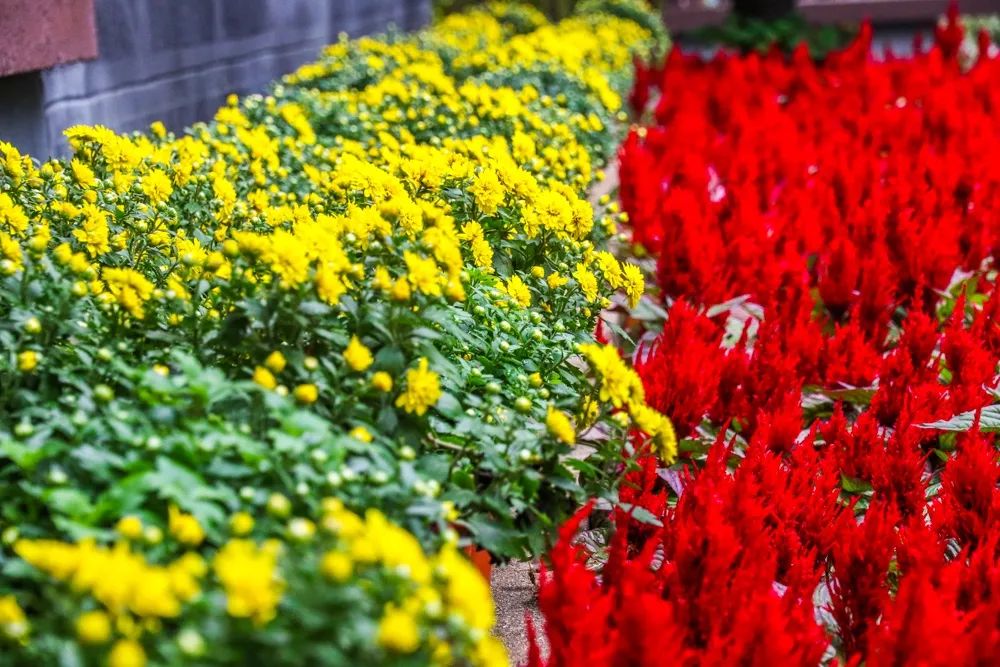 燕子矶公园讲解,燕子矶公园在哪里啊