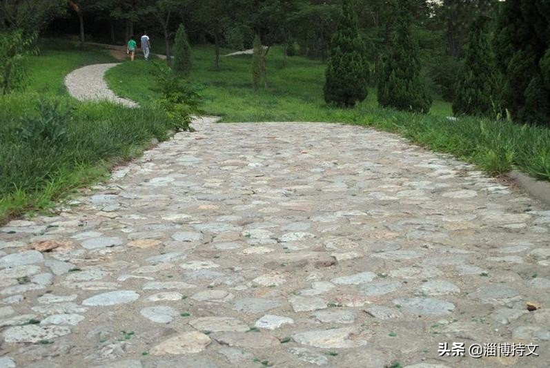 热爱生活从每日跑步开始,跑步让我感受健康和快乐