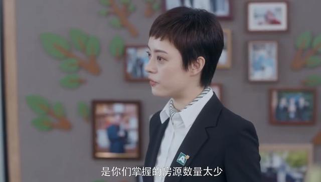 孙俪安家口碑两极分化,孙俪安家为什么火了