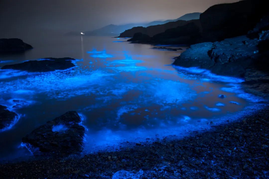 海滩再现绝美荧光海宛如蓝色星河,成都荧光海滩