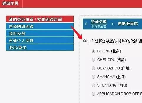 去美国做月嫂的签证怎么办理,如何办理保姆美国签证