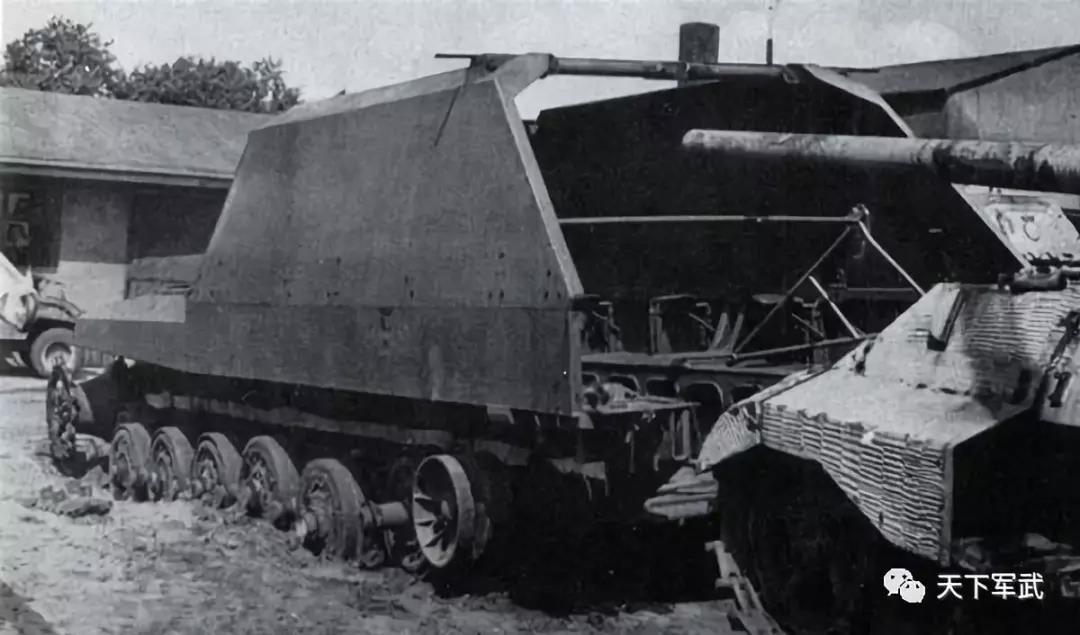 D系丨竟因火力过剩遭到自己人嫌弃？！看来我兔的病有治了！