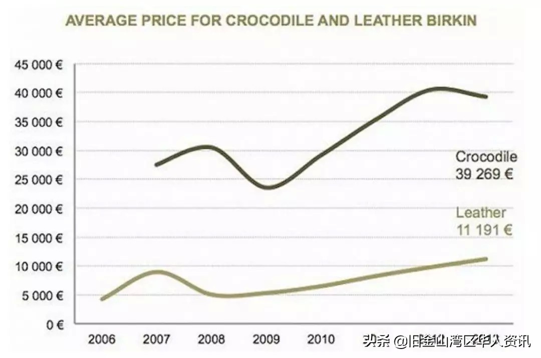 美国贵妇视频,美国至高无上的贵妇