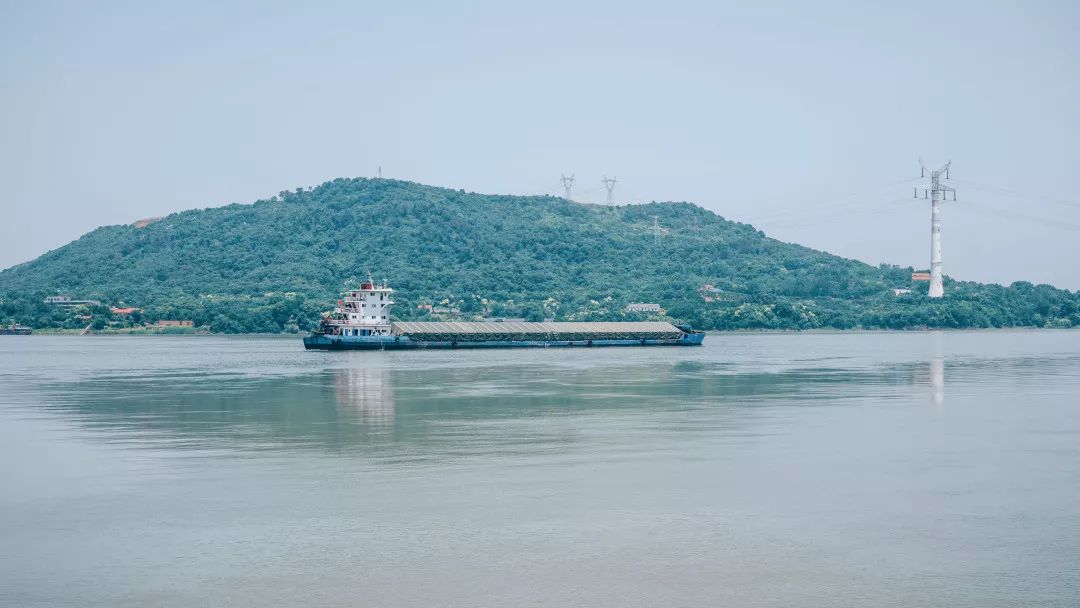 用66张照片回忆2020年,江夏高清图片