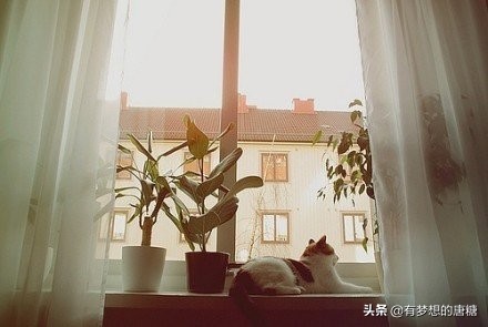 心理学遇到不如意事情的4个阶段,心理学倾向于责怪他人