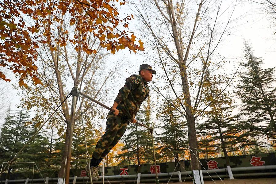 双十一来了快递好不好送,双十一来了快递准备好了吗