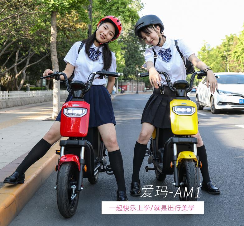 爱玛am1价格多少钱,爱玛am1标准版和豪华版区别