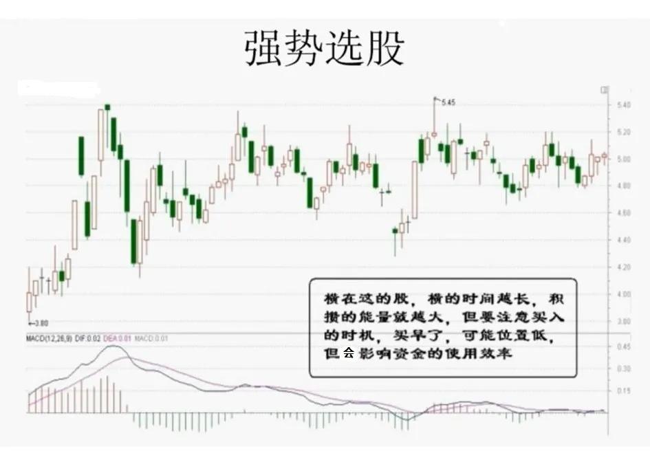 用选股器选强势股的技巧,交易规则里的重仓股票