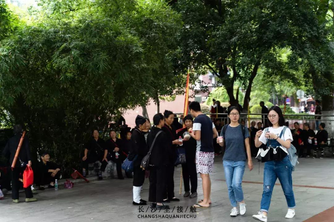 长沙最青春公交，串联6所大学的记忆