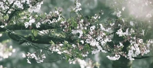 你的车里真好闻！复刻千年国宝的它，随行随香，极雅