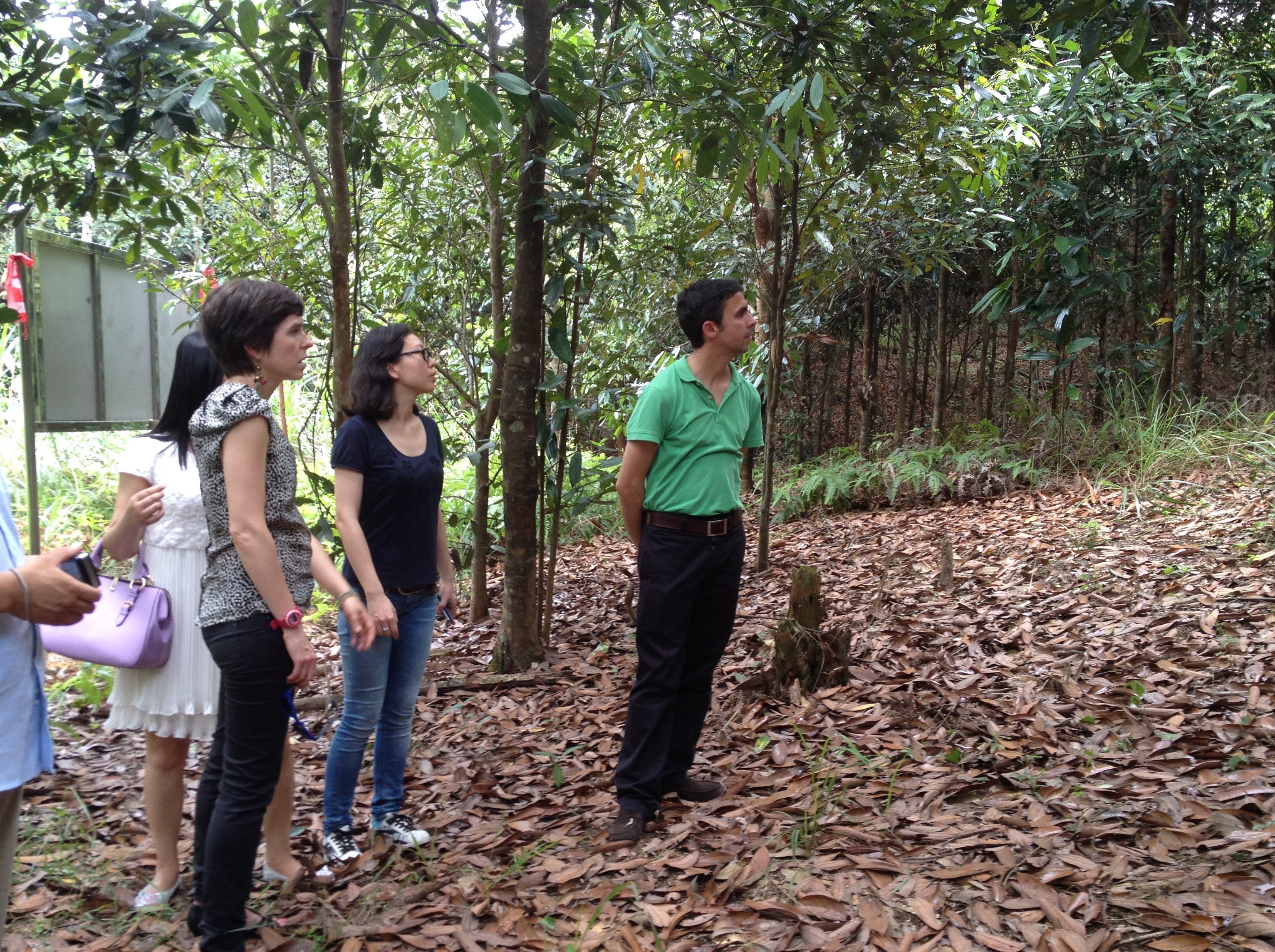 桂皮生意一年能赚多少钱,桂皮利润