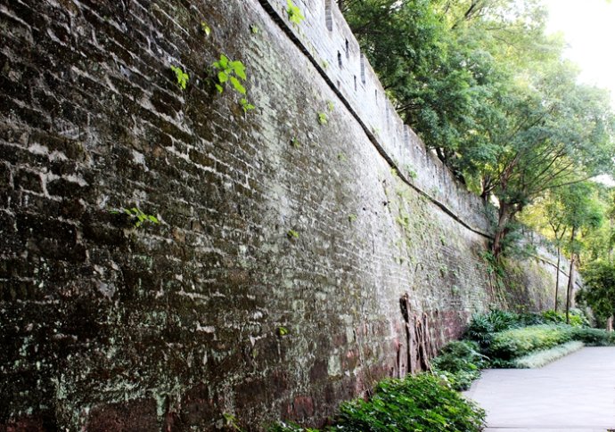 广东人对鸡情有独钟什么意思,为啥广东人喜欢吃鸡鸭鹅