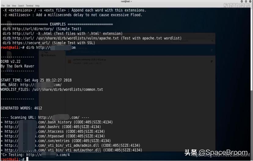 二十二，渗透网站信息，域名信息、端口信息、敏感信息及指纹信息