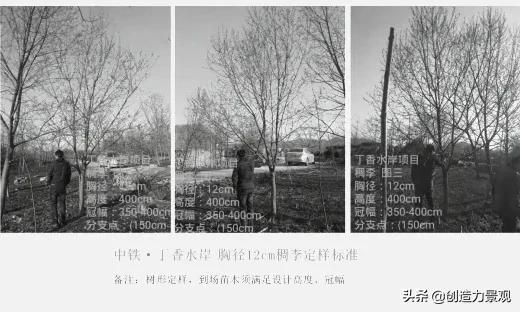 如何对植物进行管理,植物苗期管理视频