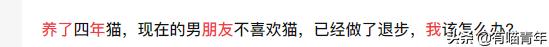 养了十几年的猫和男朋友分手了,女朋友要求丢掉养了3年的猫