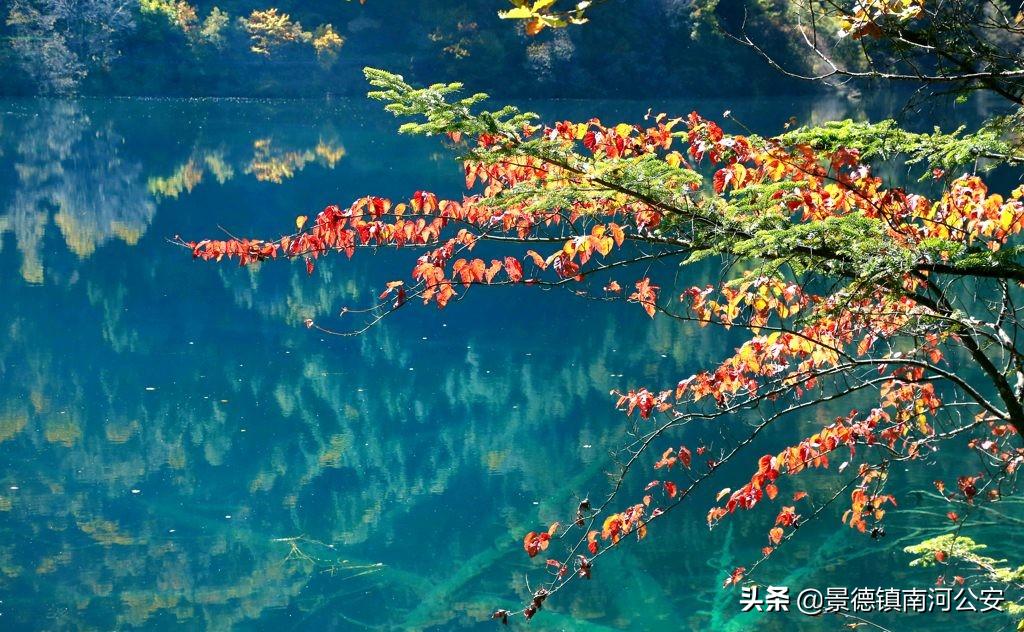 秋水诗词大全100首,王勃诗词秋水共长天一色