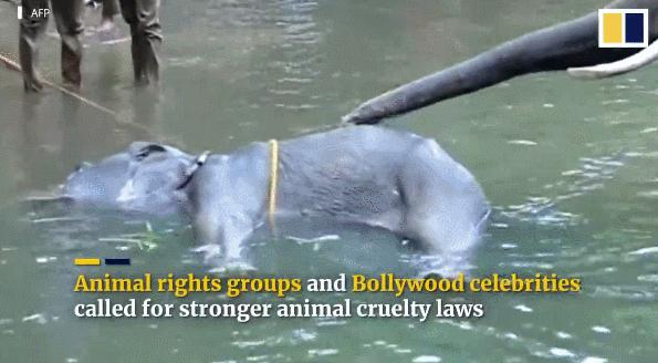 被已婚男欺骗致怀孕一尸两命,女孩儿被骗怀孕最后被杀害