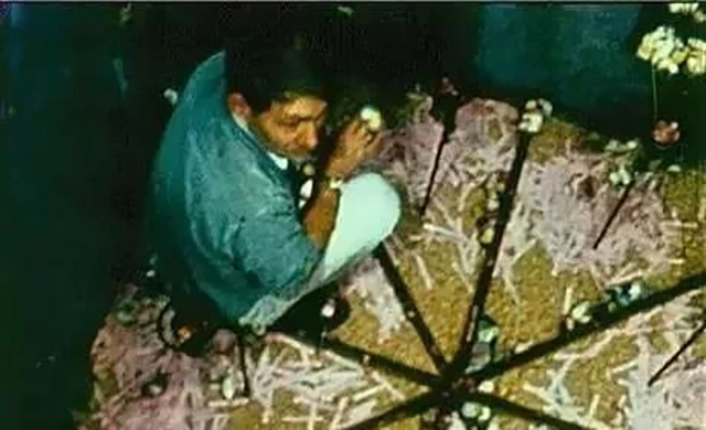 社会学实验表明：年轻人的早逝，可能是人类自然消亡的第一步