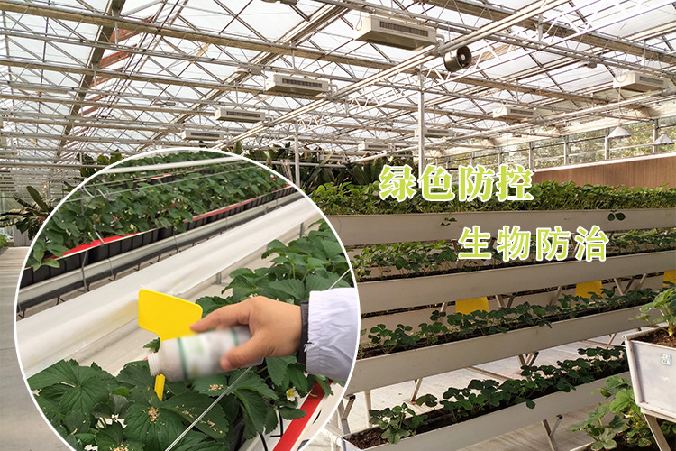 什么是生物疗法治疗,什么是生物防治及其优缺点