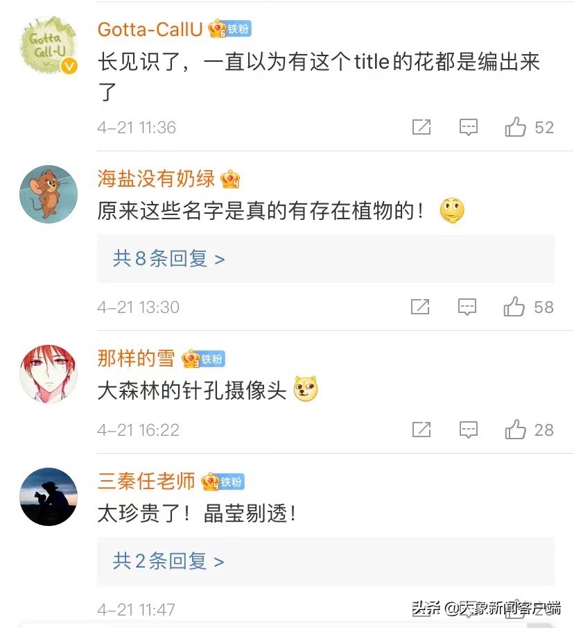 中国的珍稀植物,史上最稀有的十大植物