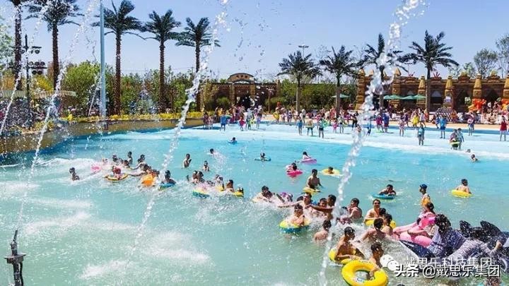 游泳池知识大全,你知道泳池有多干净