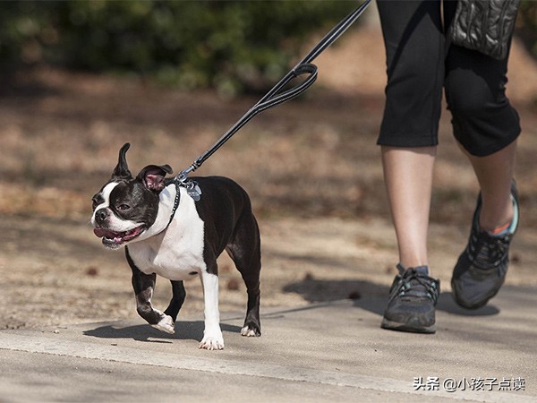 苏教版四年级英语上册1-6课单词,北京社保