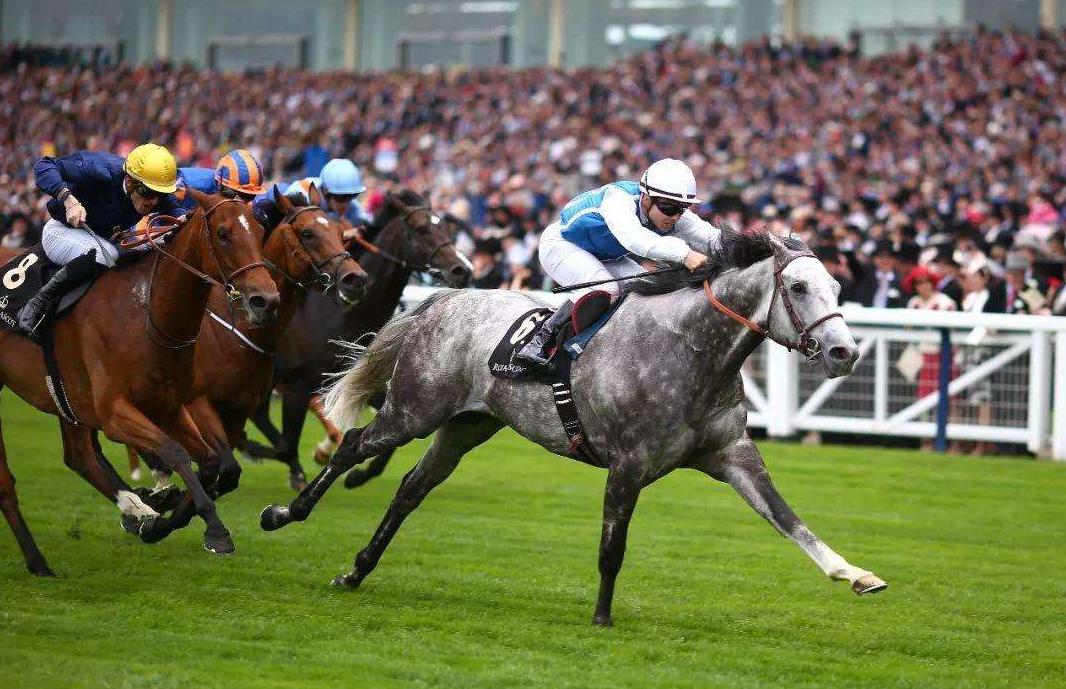 海南赛马业最新规划,2022年海南赛马发展规划