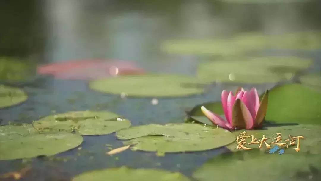 通州副中心风光,通州副中心最新进展