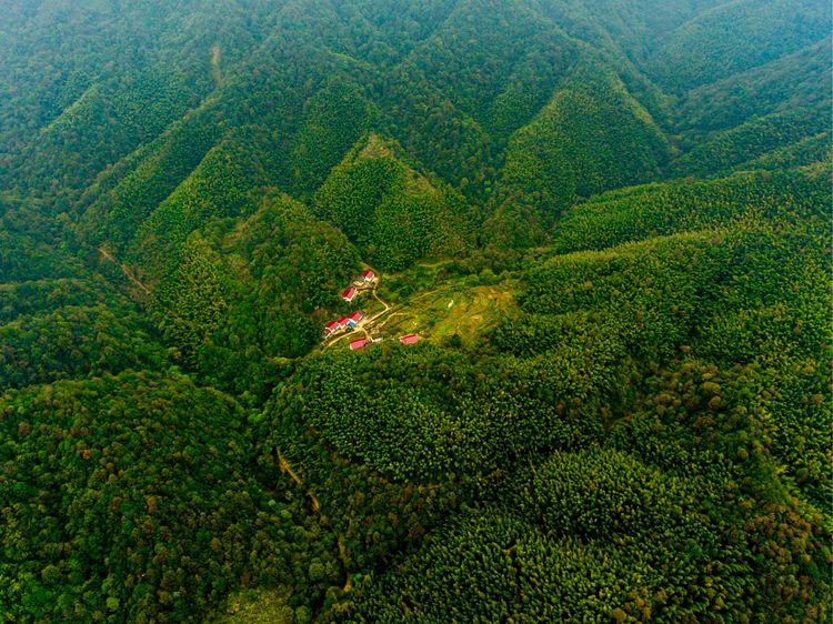 江西民企制造业100强分布图:鹰潭20家,南昌9家