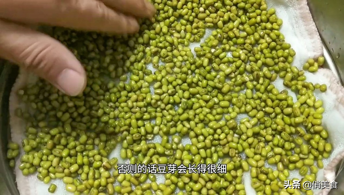 家庭自制绿豆芽的做法,家庭自制绿豆芽做法