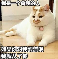 1分钟掌握6个万能ppt封面,一分钟做出高级感ppt