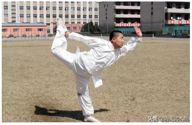 精妙腿法戳脚拳动态演示,正宗的戳脚趟子拳教学