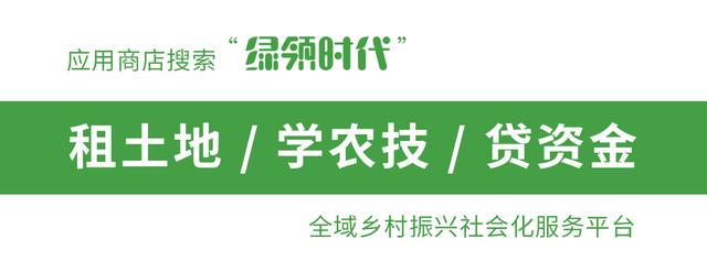 新型四害对农民有什么影响,农村新型四害是什么意思