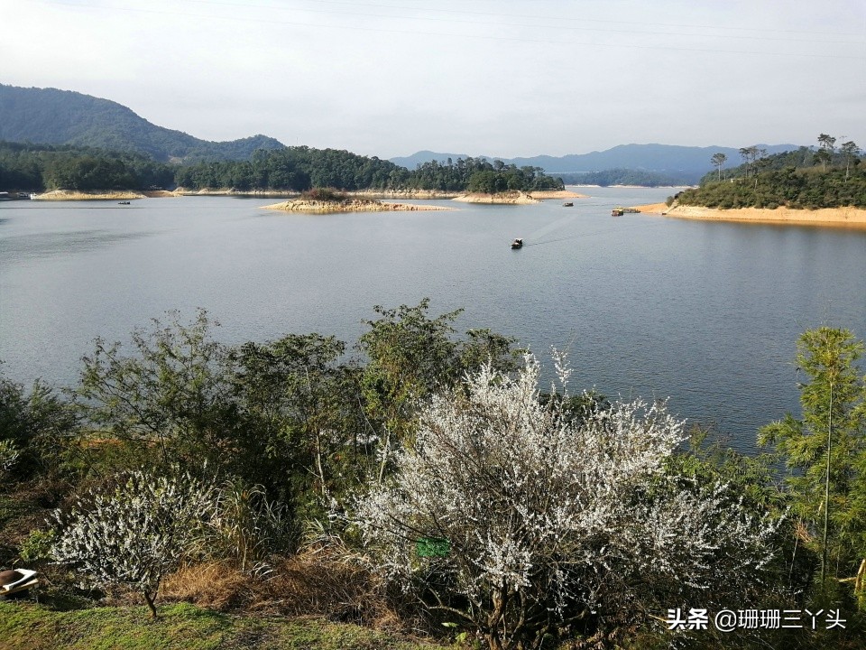 广州的后花园,广州的后花园是哪