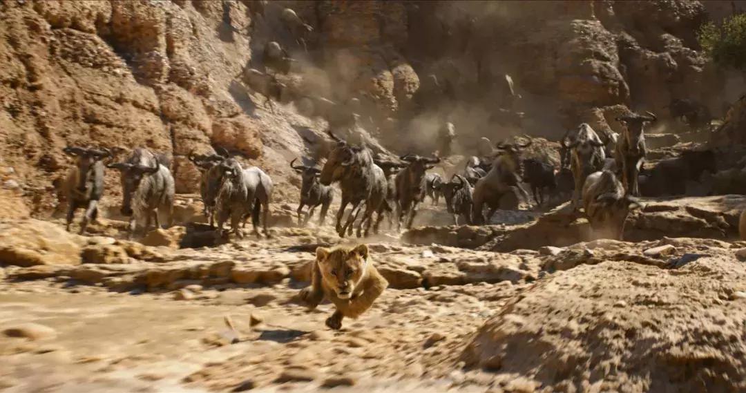 狮子王到底返不返场,狮子王口碑