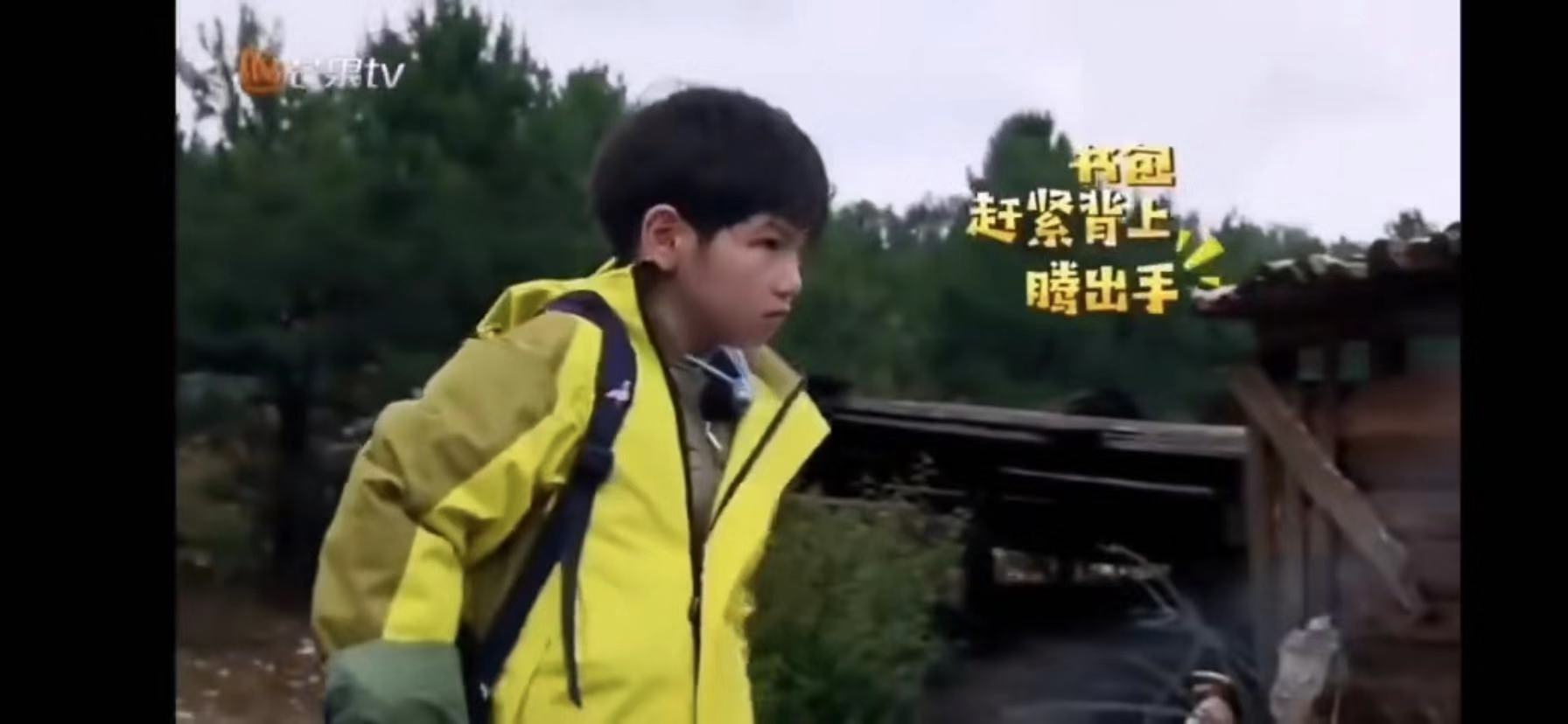 杨烁反思教育,杨烁教育儿子道歉视频