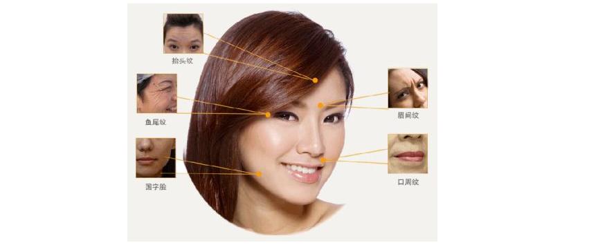 干纹和细纹的解决方法,干纹与细纹的改善