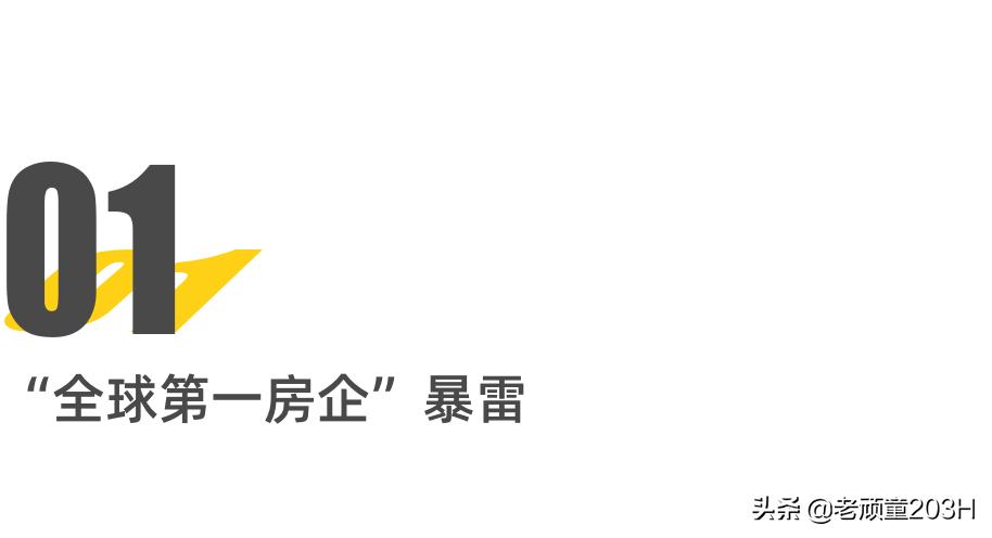 从首富到首负怎么回事,从首富到首负许家印都做了什么