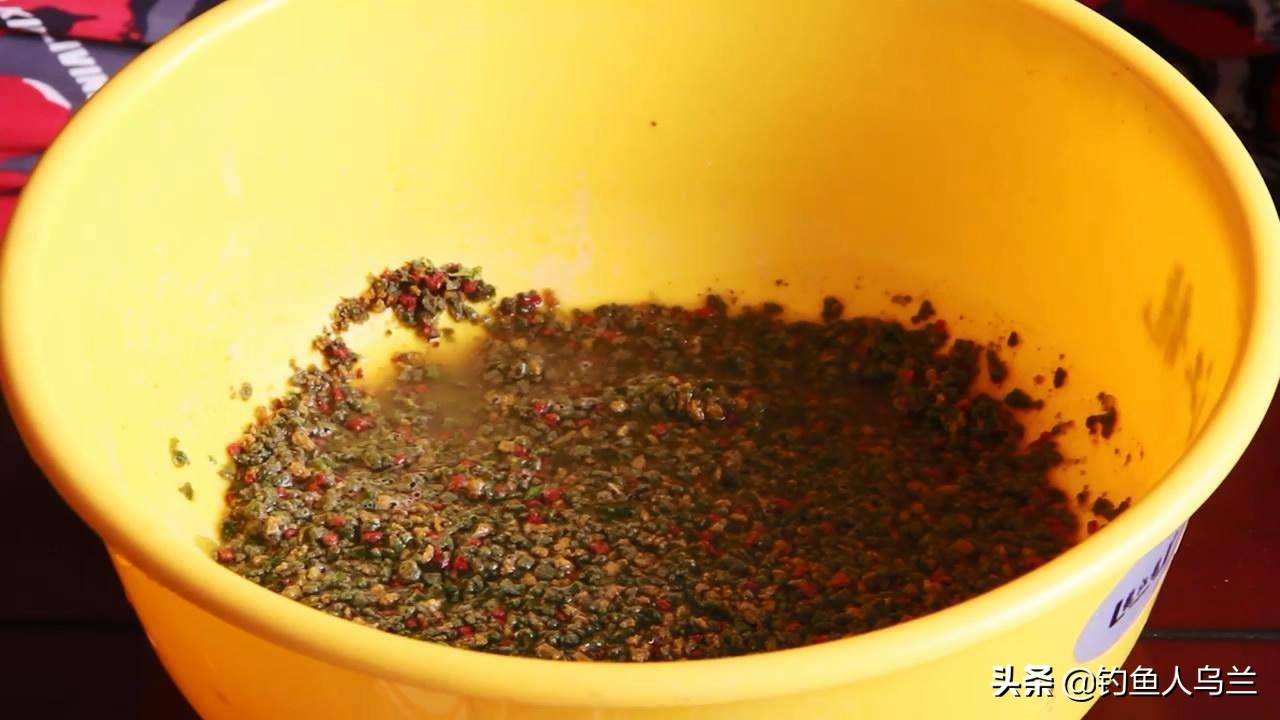 钓鱼新手更容易上鱼的原因,新手钓鱼为什么容易钓大鱼