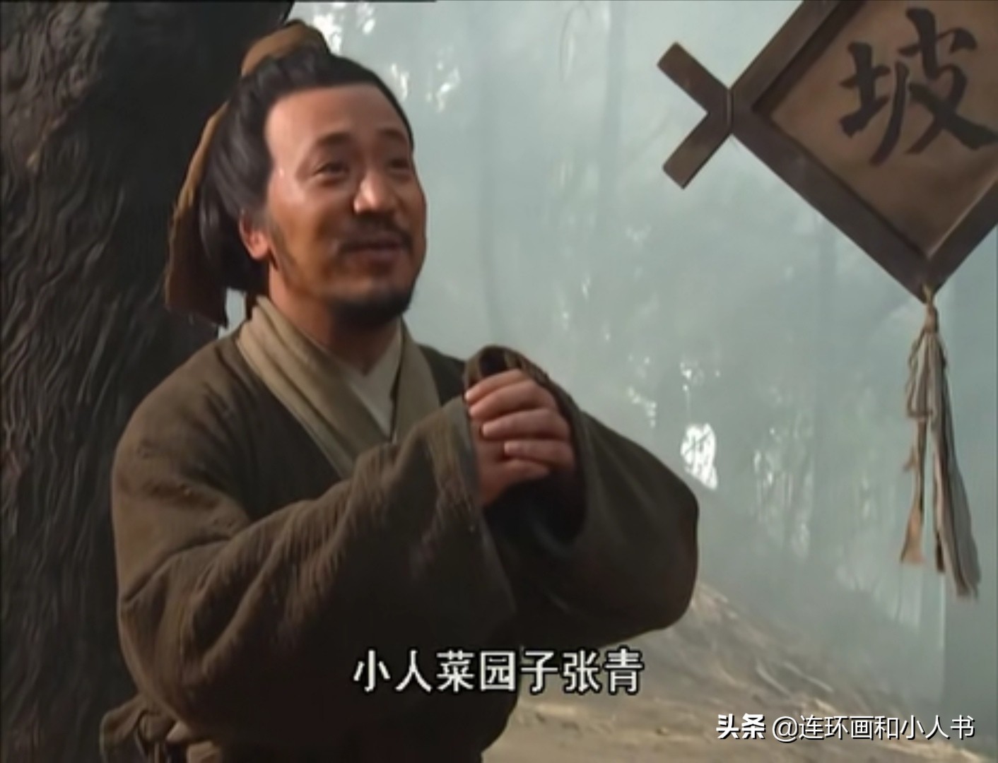 水浒菜园子张青扮演者,水浒传菜园子张青人物形象