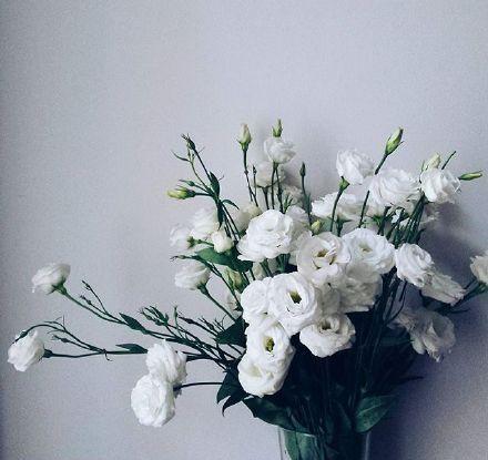 简短精辟的个性签名语录,个性签名经典语录精辟的短句