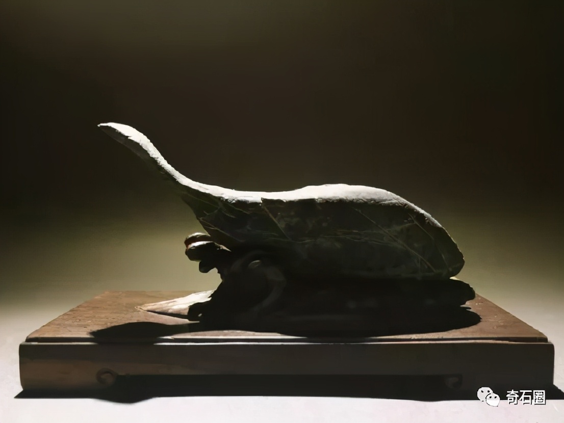 “一见倾心的石头”入围作品展播