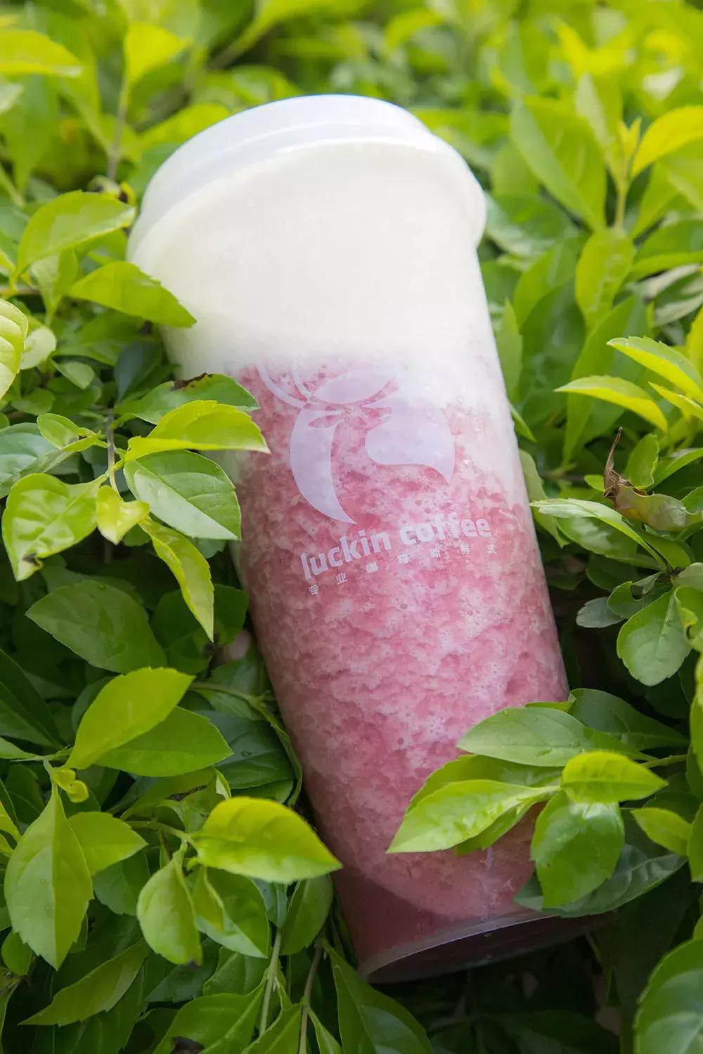 瑞幸和kfc咖啡谁的好喝,瑞幸咖啡奶盖茶上线真的好喝吗