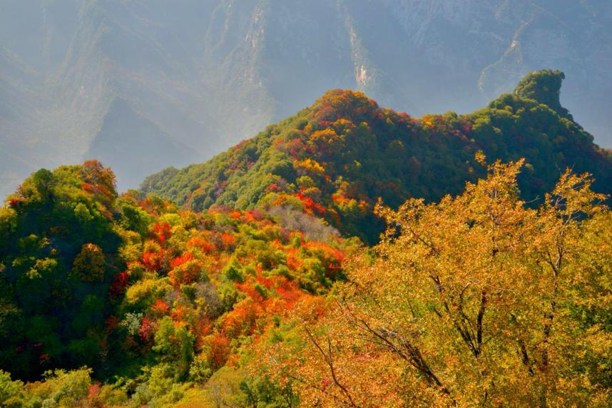 渭南红叶旅游节,陕西省少华山县红叶节