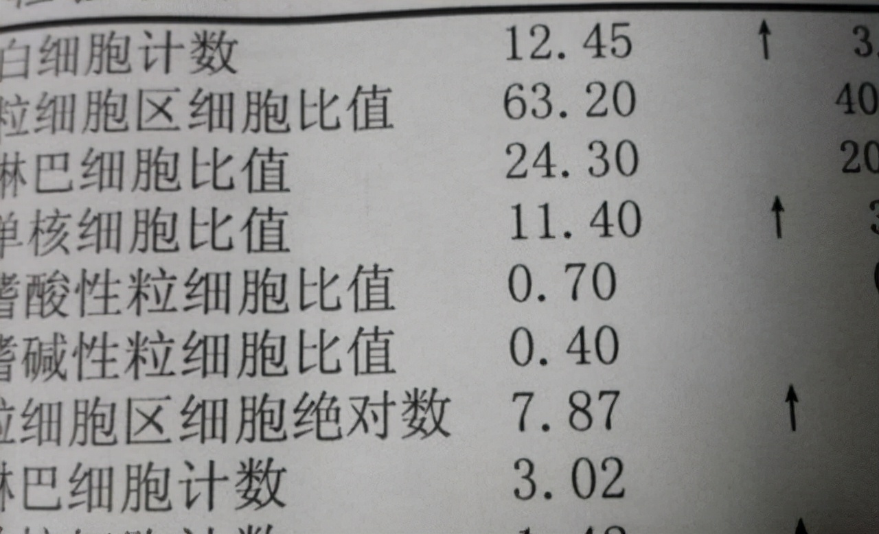 血常规检查各项指标都高什么原因,血常规检查3项高有什么病