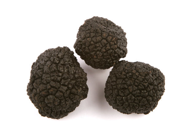 黑松露营养价值怎么样,黑松露的营养价值